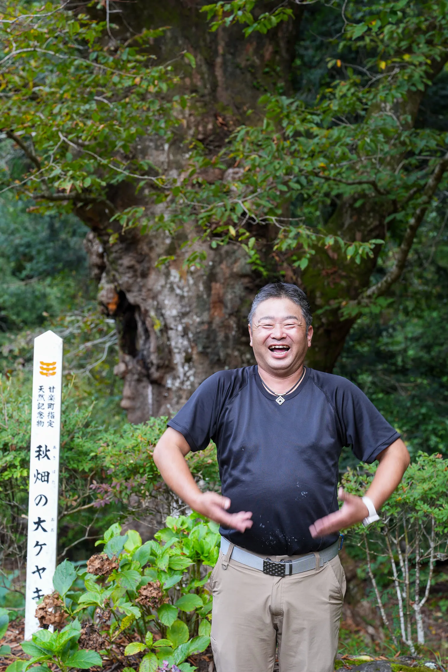 甘楽町指定天然記念物の秋畑の大ケヤキと黒澤秋彦